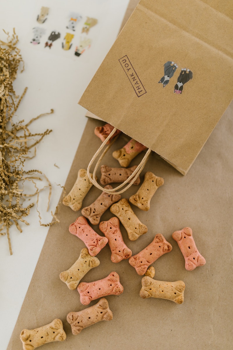 A Paper Bag with Thank You and Dog Treats