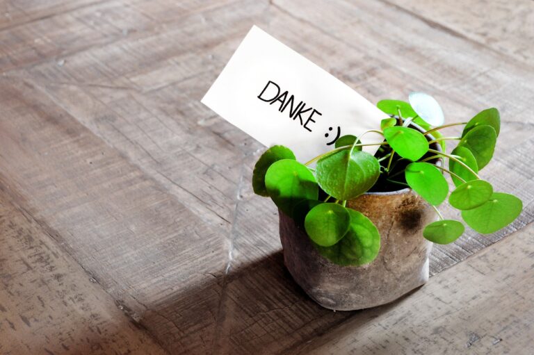 Danke Thank You card plant