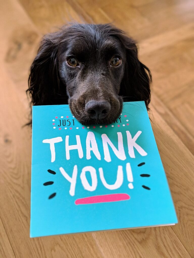 Dog saying Thank You