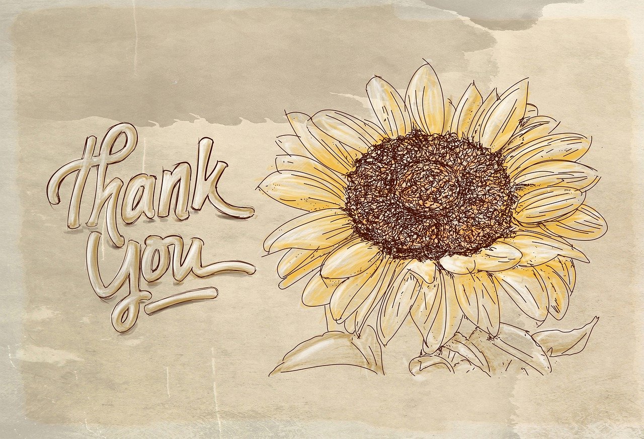 Thank You Flower Nature Sunflower 2