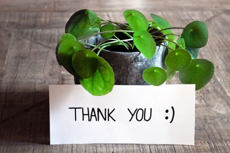 Thank You card table plant