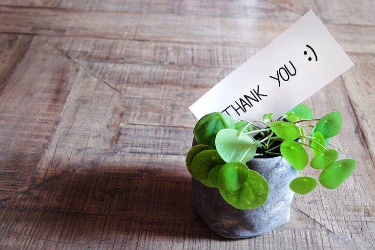 Thank you card plant pot