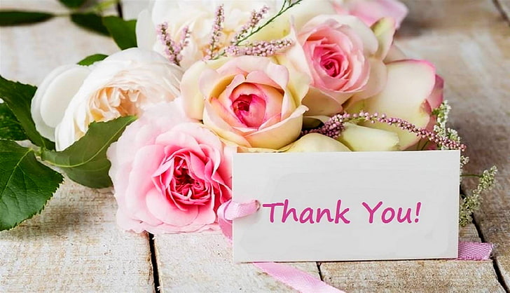 Thank you flowers roses bouquet wallpaper